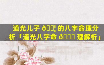 道光儿子 🐦 的八字命理分析「道光八字命 🐞 理解析」